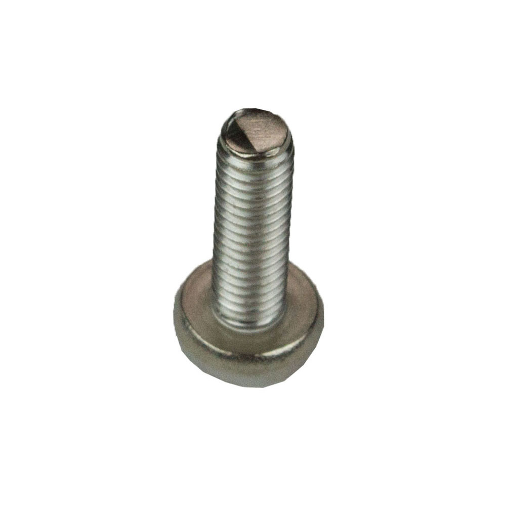 Screw Pan Head 6mm x 20mm Screw Pan Head 6mm x 20mm
